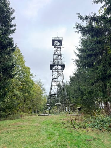 Dreitälerblick - Ilfelder Wetterfahne von Ilfeld
