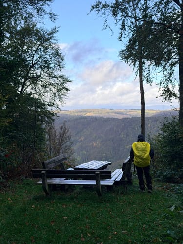 Dreitälerblick - Ilfelder Wetterfahne von Ilfeld