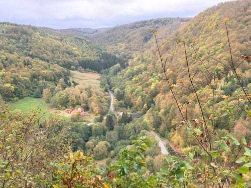 Dreitälerblick - Ilfelder Wetterfahne von Ilfeld