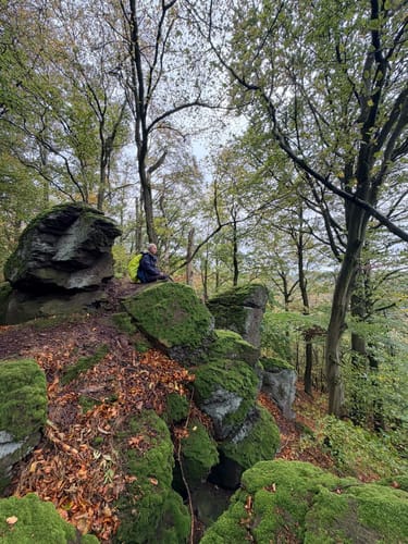 Dreitälerblick - Ilfelder Wetterfahne von Ilfeld
