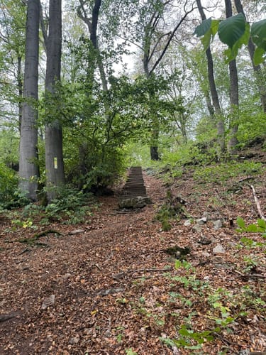 RI7 Schloss-Schaumburg Route