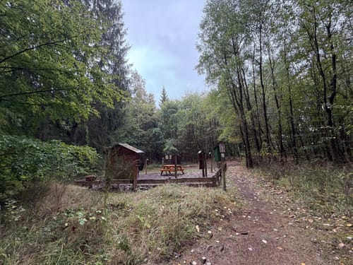 Bärenbachpfad (Traumschleife)