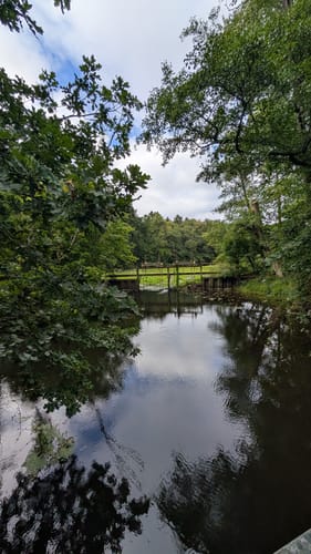 Duvenstedter Brook