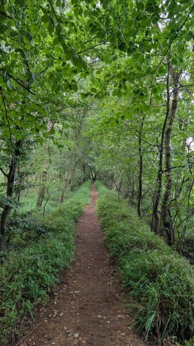 Duvenstedter Brook