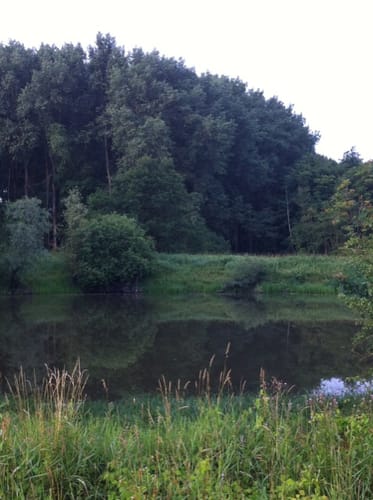 Gartower See und Elbe Rundweg