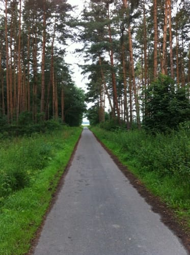 Gartower See und Elbe Rundweg