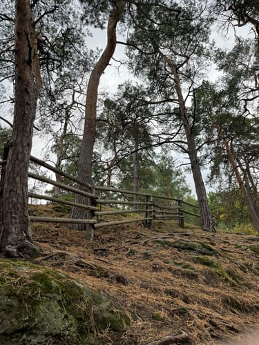 Sandhöhlen - Festung Regenstein