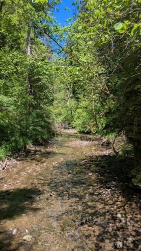 Gauchachschlucht (Genießerpfad)
