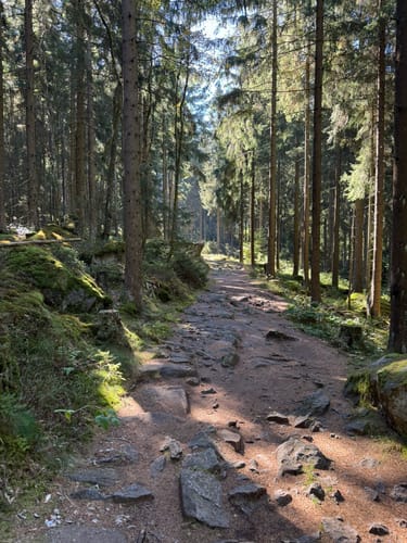 Felsenlabyrinth zur Kösseine