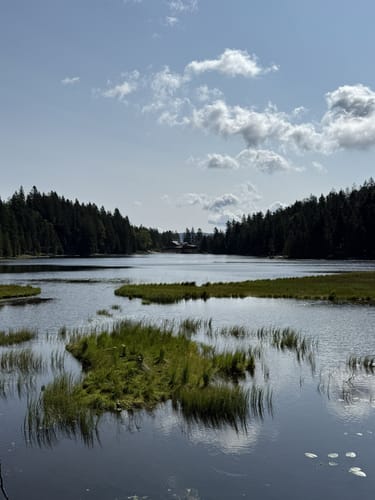 Großer Arbersee Rundweg