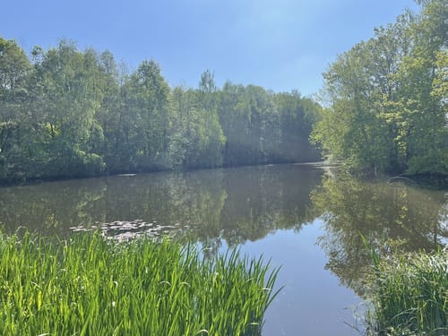 Rothsee Rundweg