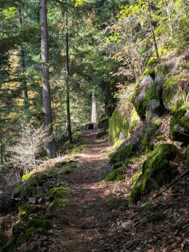 Lautenbacher Felsenweg