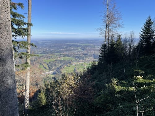 Blomberg Rundweg zum alten Zwiesel