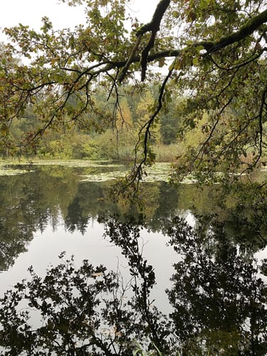 Prießnitzwasserfalll - Ludensruh