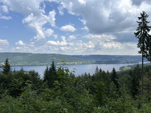 Schluchtensteig Etappe 4: Fischbach - St. Blasien