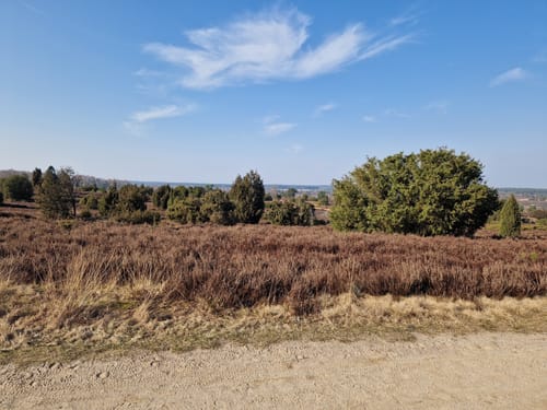 Egestorf - Voßmoor - Wilsede