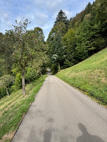 Durch das Simonstal zu den Zweribachwasserfällen