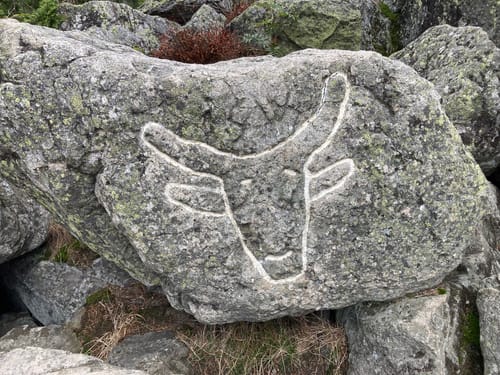 Weißmain-Ochsenkopf-Steig