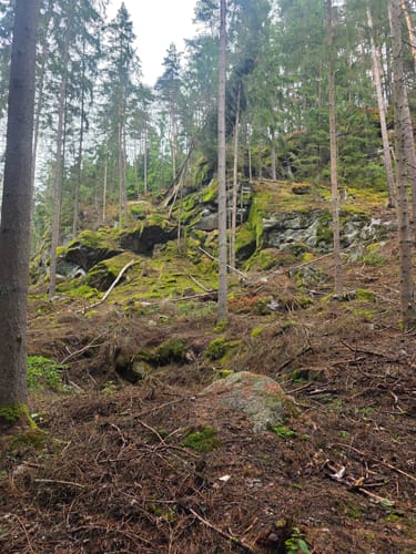 Waldnaabtal ab Windischenbach