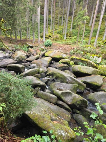 Waldnaabtal ab Windischenbach