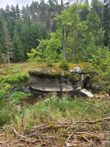 Waldnaabtal ab Windischenbach