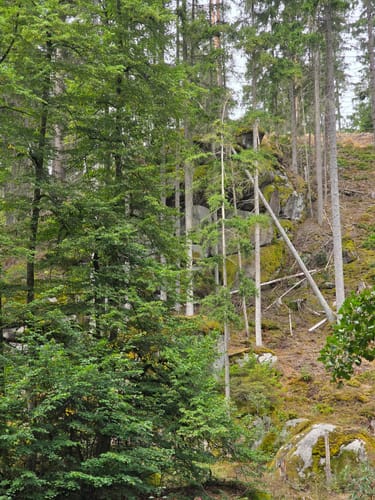 Waldnaabtal ab Windischenbach