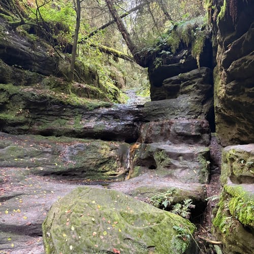 Bastei - Schwedenlöcher -Polenztalweg [CLOSED]