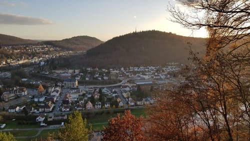 MTB: Heiligenberg Tour