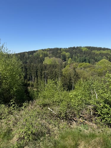 Holperdorper (Teutoschleife)