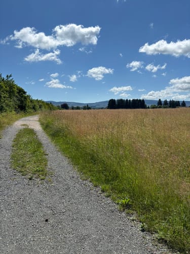 Rundtour Schulenberg (O3)