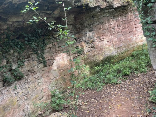 Schlossbergtour (Premiumwanderweg)