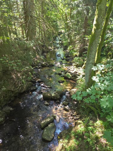 Eibenstock - Blauenthaler Wasserfall