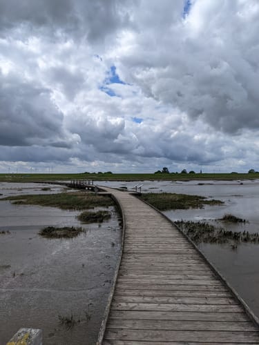 Langwarder Groden