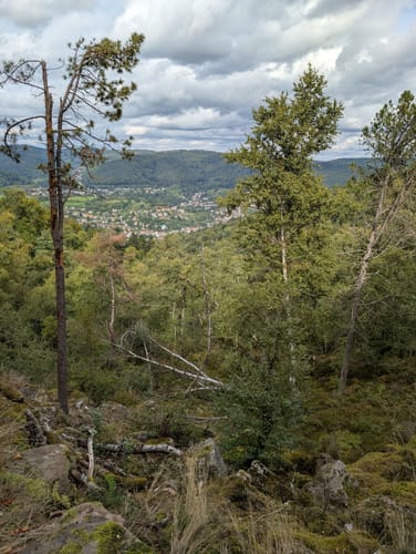 Königstuhl - Heidelberg Wanderweg 9