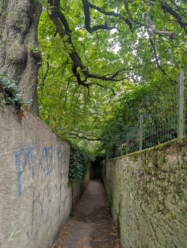 Philosophenweg Heidelberg