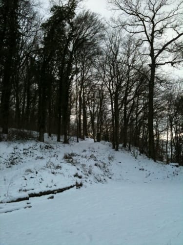 Durch den Kaywald
