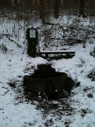 Durch den Kaywald