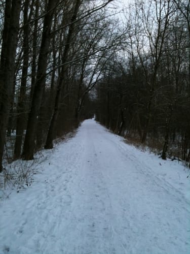Durch den Kaywald