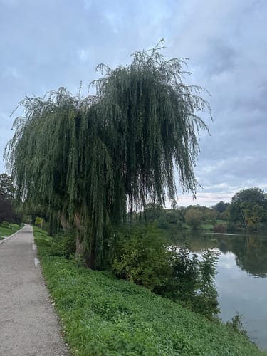 Münster: Schlossgarten, Münsterische Aa