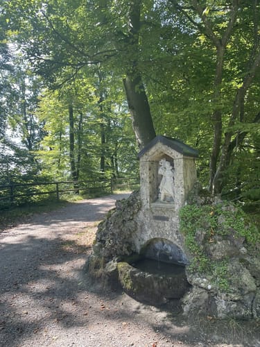 Burg Schwaneck - Burg Grünwald