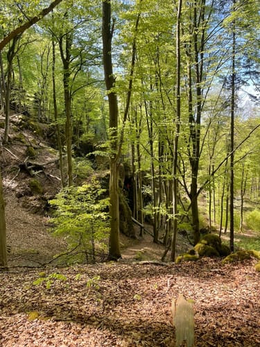 Höhenglücksteig
