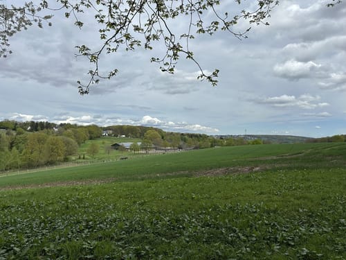 Hohensyburg - Kaiser-Wilhelm-Denkmal Runde