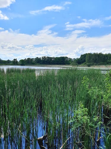 Teichrunde bei Mönau