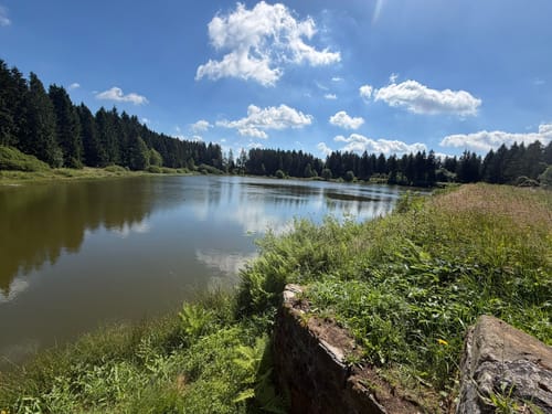 Teiche bei Festenburg
