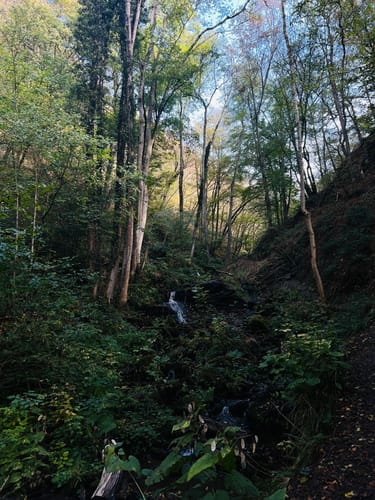 Hunolsteiner Klammtour (Traumschleife)
