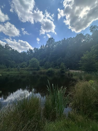 Wulmstorfer Heide