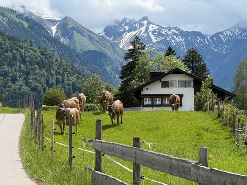 Durchs Oytal auf dem Dr-Hohenadel-Weg