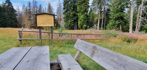 Drei Annen Hohne - Brocken