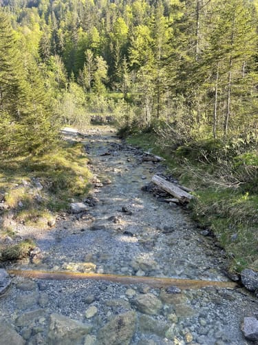 MTB: Bad Wiessee - Kreuth - Schwarze Tenn