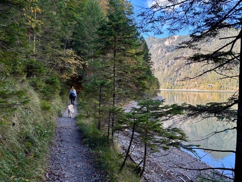 Rund um den Plansee